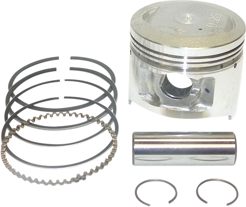 Piston Kit 09103536