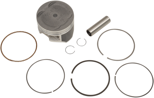 Piston Kit 09105215