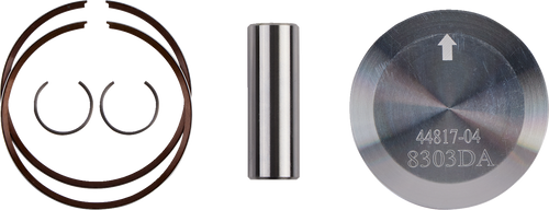 Piston Kit for 2 Stroke 09106638