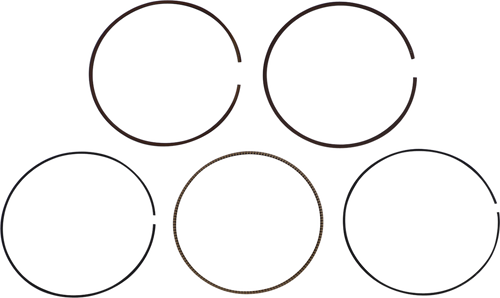 Replacement Piston Ring Set 09120863