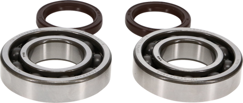 Crankshaft Bearing and Seal Kit 09240713