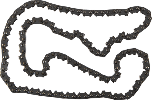 Cam Chain 09251494