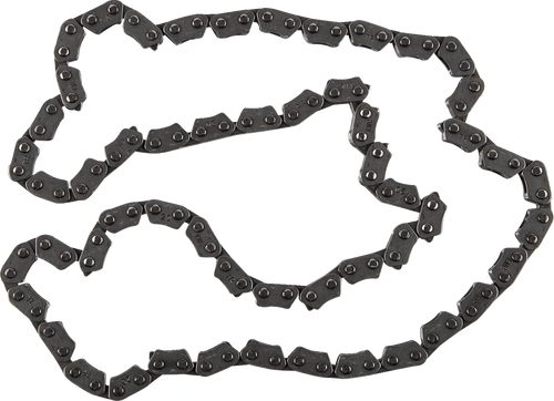 Cam Chain 09251495