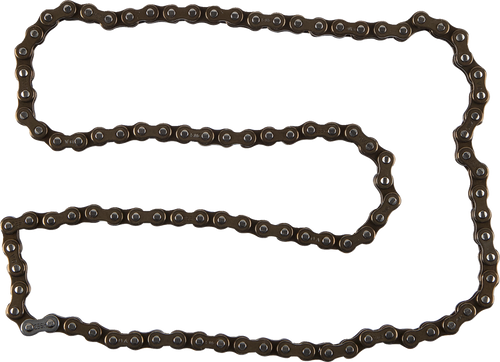 Cam Chain 09251496