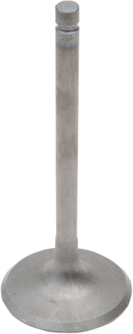 Engine Valves 09260079