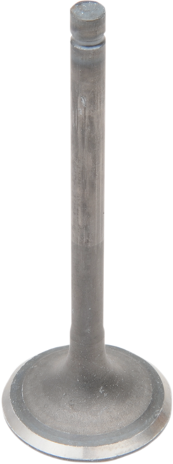 Engine Valves 09260088