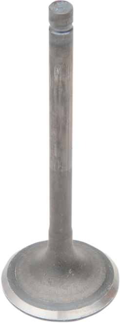 Engine Valves 09260094