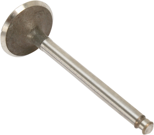 Engine Valves 09260398