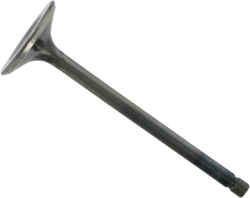 Engine Valves 09260402