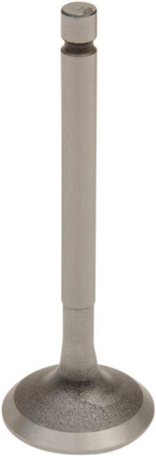 Engine Valve 09260678