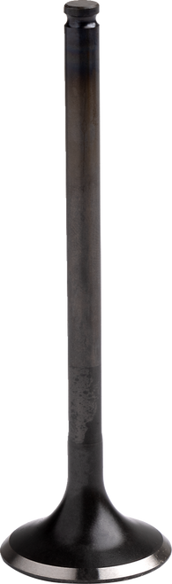 Engine Valve 09260688