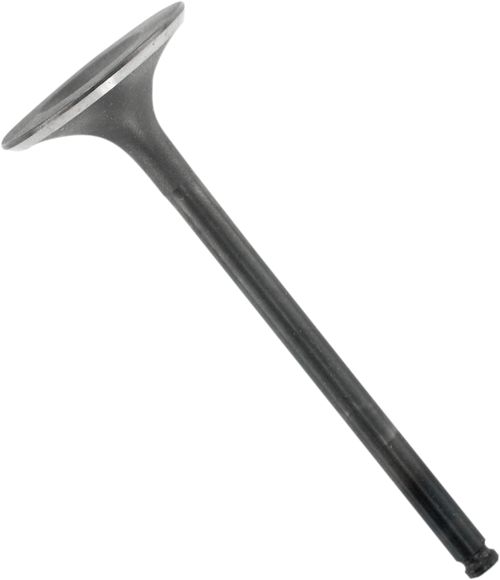 High-Performance Engine Valve 09261749