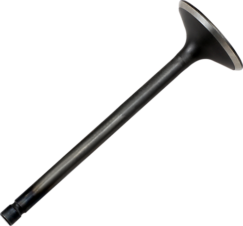High-Performance Engine Valve 09262238