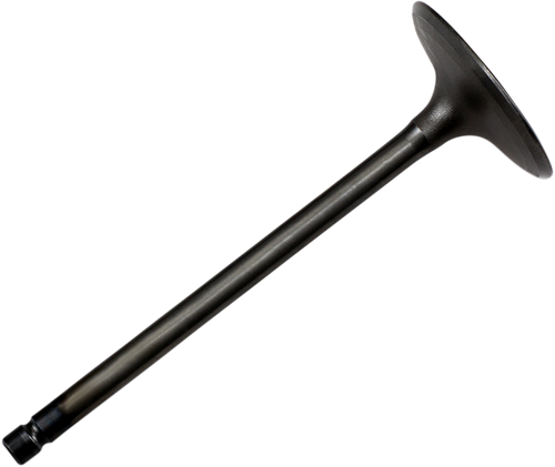 High-Performance Engine Valve 09262246