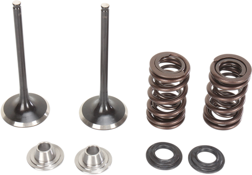 Stainless Intake Valve and Spring Kit 09262439