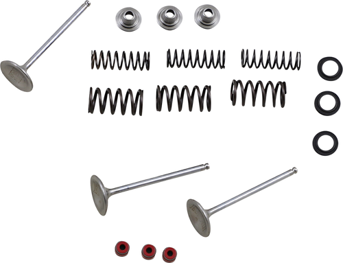Stainless Intake Valve and Spring Kit 09262459 Stainless Intake Valve and Spring Kit 09262459