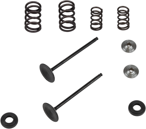 Stainless Steel Conversion Valve and Spring Kit 09262736 Stainless Steel Conversion Valve and Spring Kit 09262736