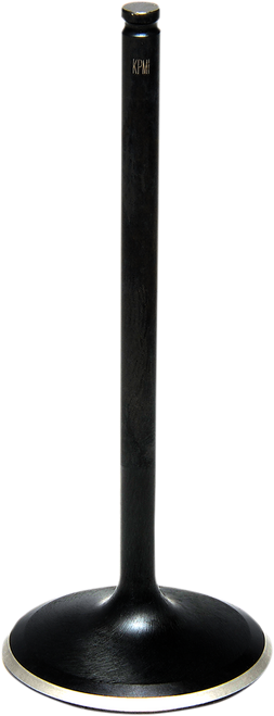 Black Diamond™ Engine Valve 09263034