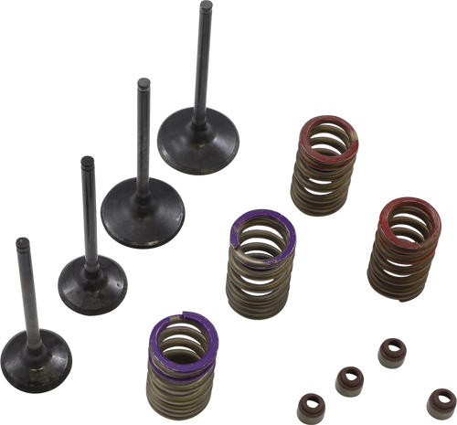 Valve Kit 09263076