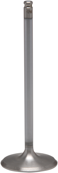 White Diamond™ Engine Valve 09263088