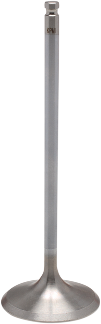 White Diamond™ Engine Valve 09263146