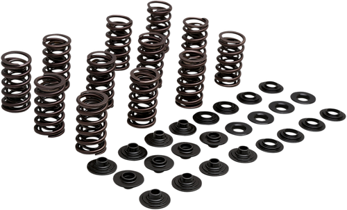 Lightweight Racing Valve Spring Kit 09263206