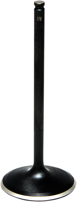Black Diamond™ Engine Valve 09263280