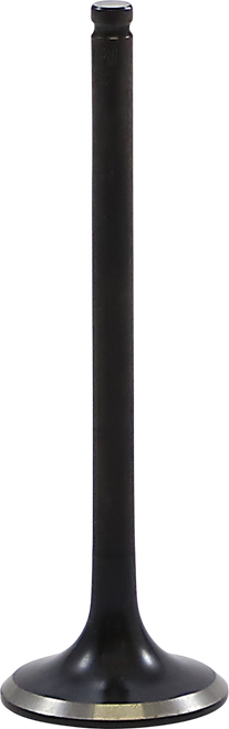 Black Diamond™ Engine Valve 09263380