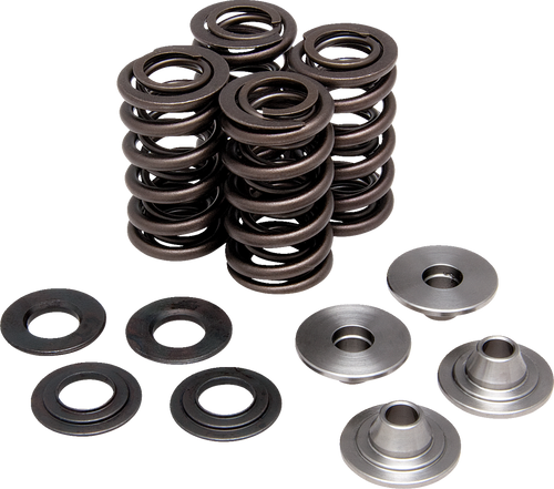 Lightweight Racing Valve Spring Kit 09263385