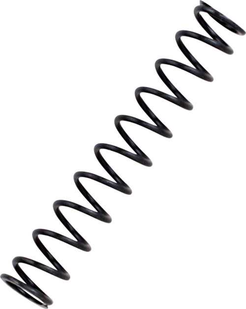 Pressure Relief Valve, Springs and Plunger 09320232
