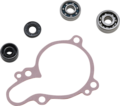 Water Pump Repair Kit 09320253