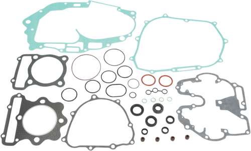 Complete Gasket and Oil Seal Kit 09340100