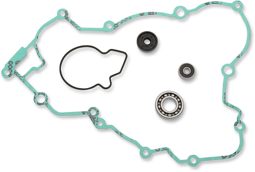 Water Pump Rebuild Kit 09345211