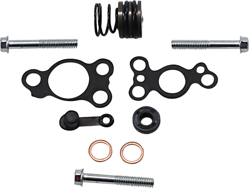 Clutch Slave Cylinder Rebuild Kit 09500917
