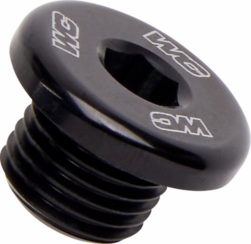Radiator Drain Plug 09500984