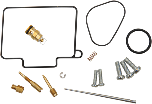 Carburetor Repair Kit - Yamaha 10030753