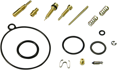 Carburetor Repair Kit 10030967