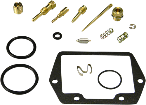 Carburetor Repair Kit 10030968