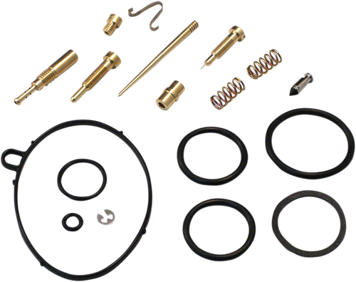 Carburetor Repair Kit 10030988
