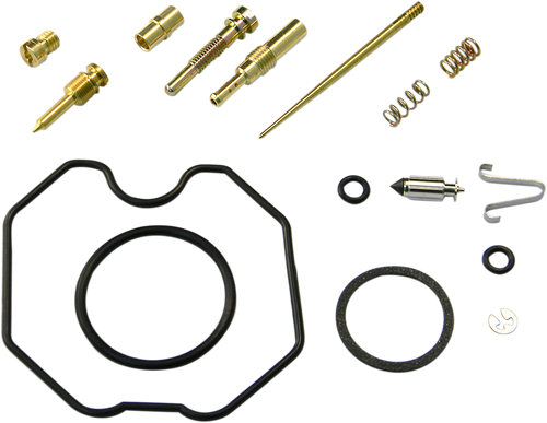 Carburetor Repair Kit 10030995