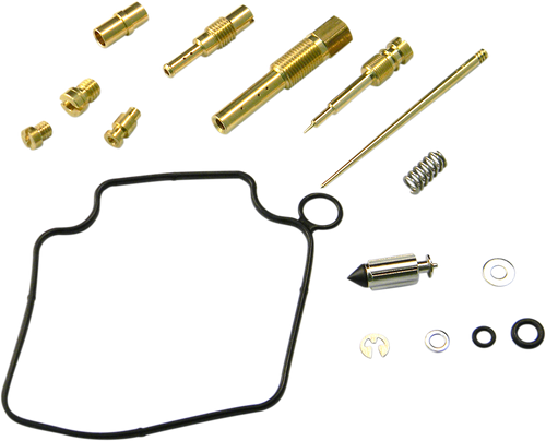 Carburetor Repair Kit 10031007