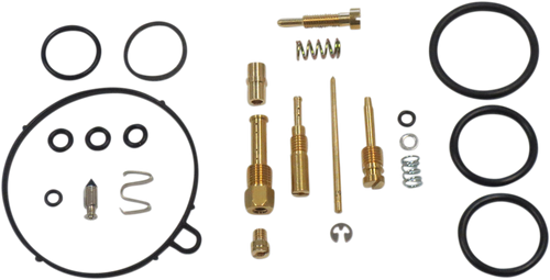 Carburetor Repair Kit 10031018