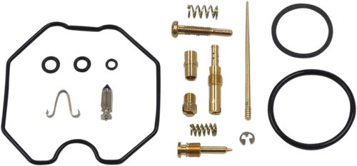 Carburetor Repair Kit 10031019