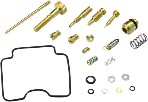 Carburetor Repair Kit 10031051