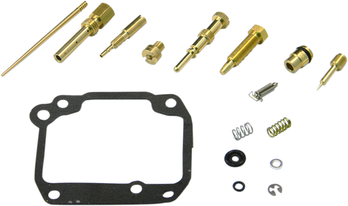 Carburetor Repair Kit 10031054