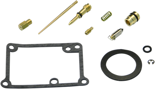 Carburetor Repair Kit 10031062
