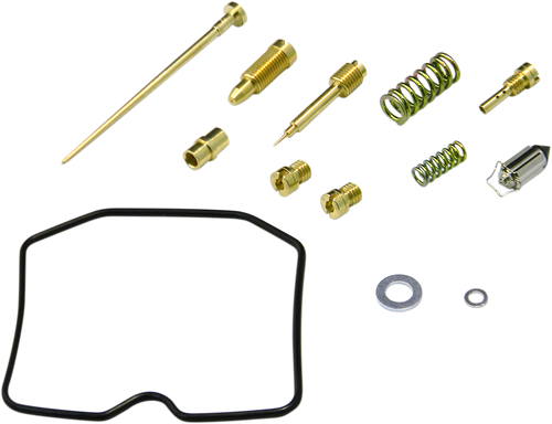 Carburetor Repair Kit 10031061