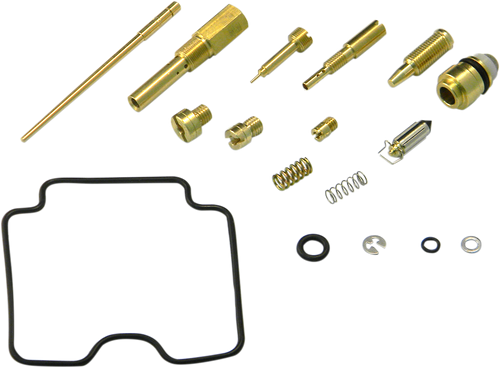 Carburetor Repair Kit 10031084
