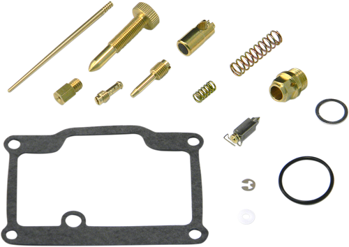 Carburetor Repair Kit 10031097