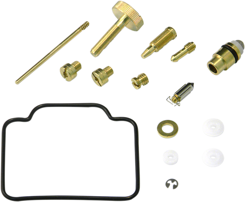 Carburetor Repair Kit 10031107